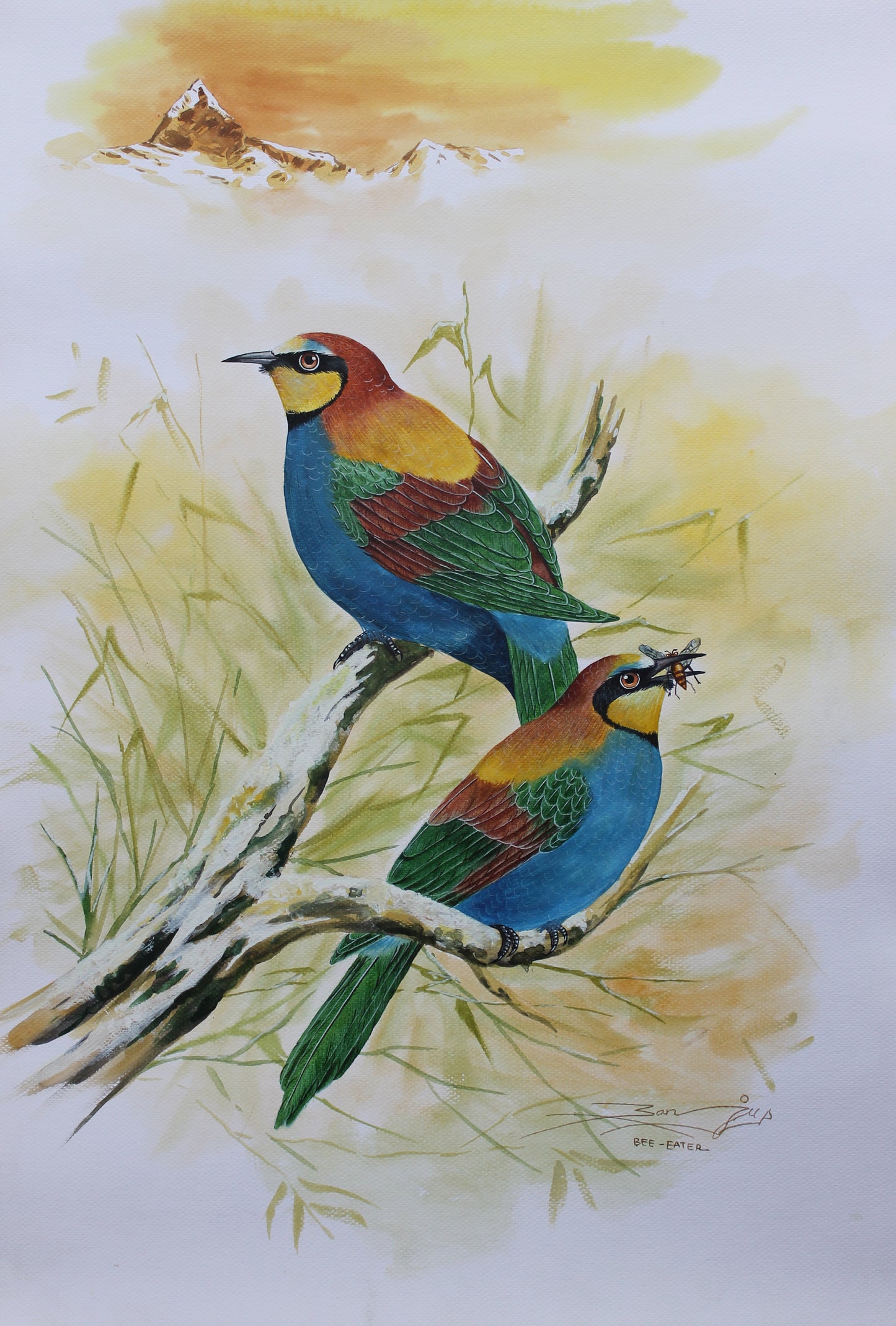 Bee-eater Birds