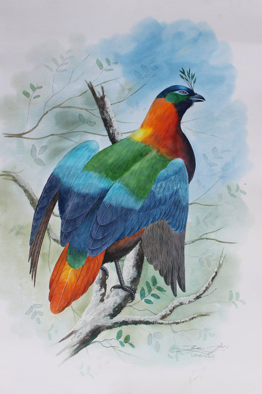 National Bird of Nepal - Danfe