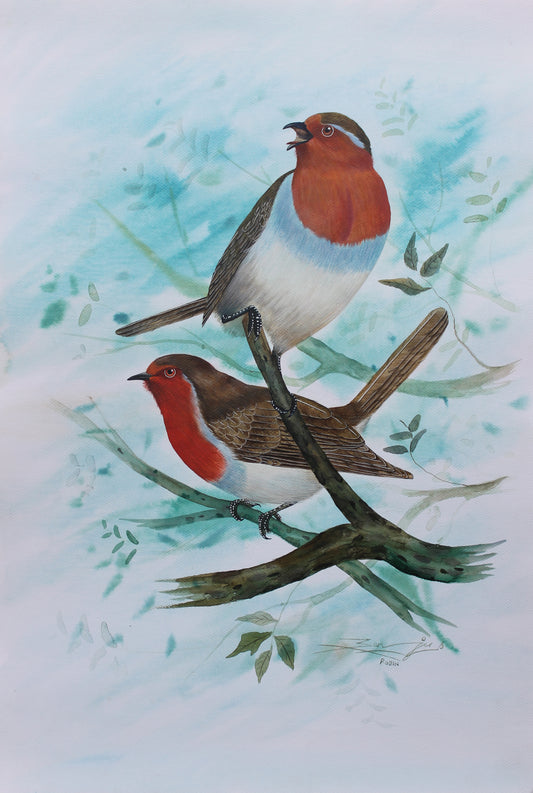 Robin Bird, Nepal